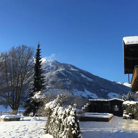 Luxurious In Near Ski Area Mittersill